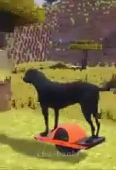 Doguinho no mine fod4se