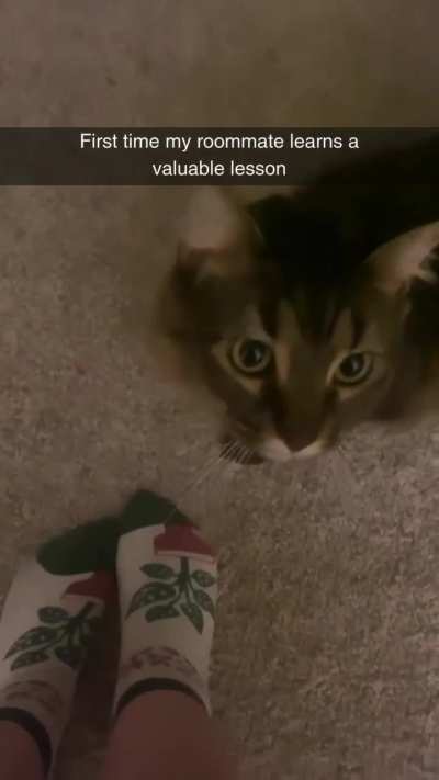 Innocent looking car