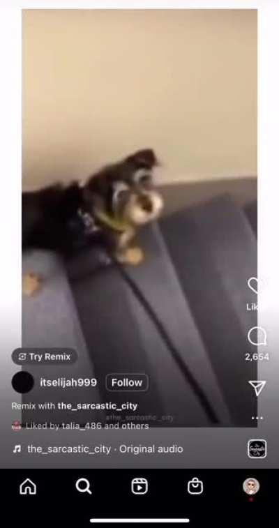 so that’s why they do that