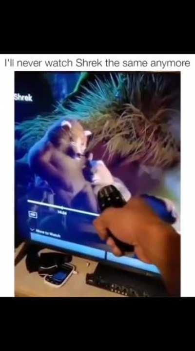 Never watching Shrek the same again