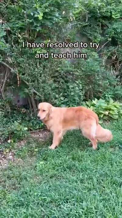 There is so much they can teach us