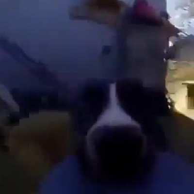 Fuck it, here’s a wholesome meme