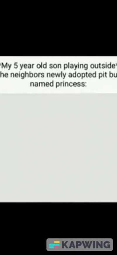 Pitbull named princess
