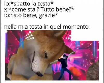 memesITA - Video #7476