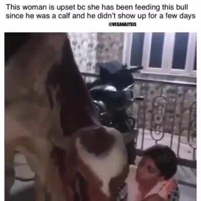 This is the cutest of apologies you will see. 💓💓