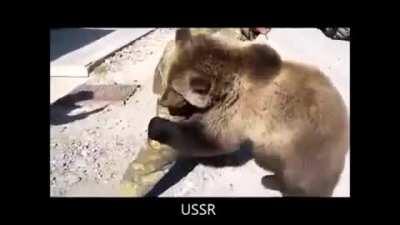 American vs Russian wrestling