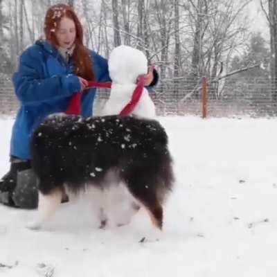 This good girl helps make a snowman with her mom