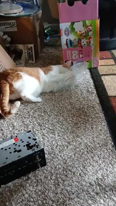 Cosmo is undetectable,lol.