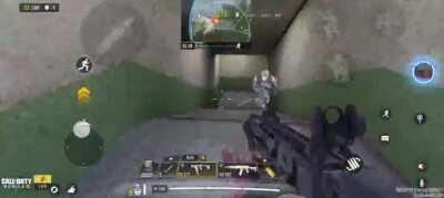 Fennec gameplay in BR.