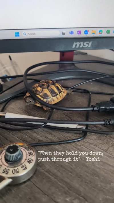 Nature vs Technology