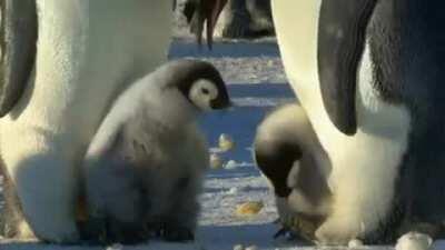 Stop, stop..being a Bully!