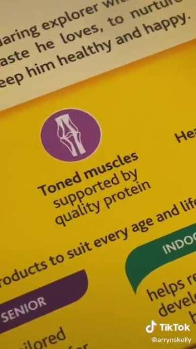 The seagull feeding saga continues