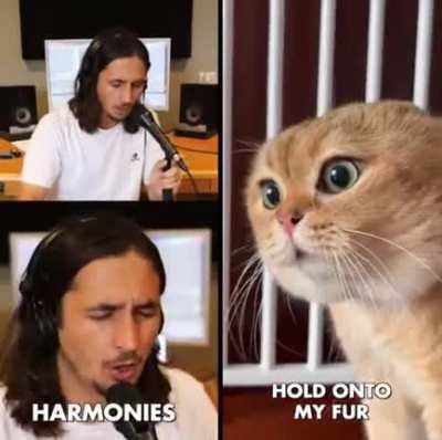 The Kiffness + Oh Long Johnson 2.0