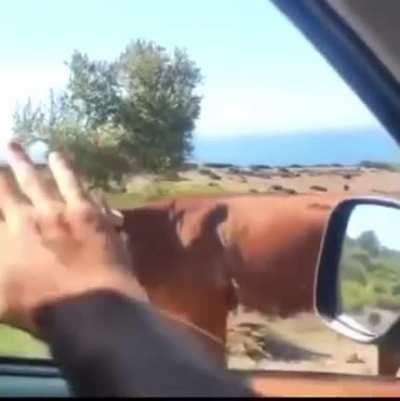 Si quieres ir a la playa de Bolonia en Tarifa, siempre habrá amables lugareños que te indicarán como llegar