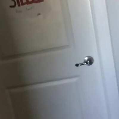 After you get a luger