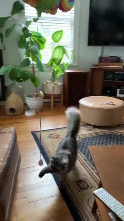 Helium balloons make cat toys 100x more fun!