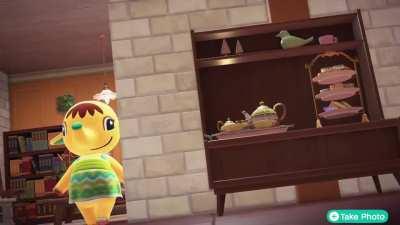 [HHP] Wow, HHA, you really caught all the best angles.