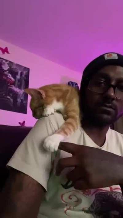 She sleeps on my shoulder every morning and today she held my finger!