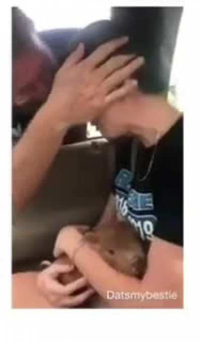 mAN sOMehow gIvES Birth TO pig! His daUGhteR is trAumATizeD fOr lifE!