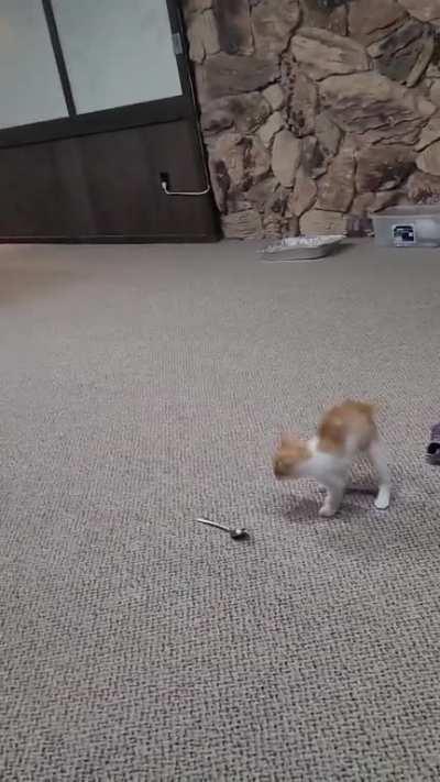 ð¦ð¦ð¦