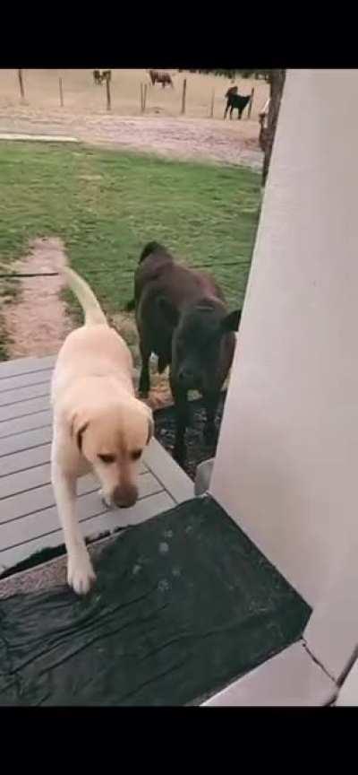 Когда пришёл домой с другом, а мама не пустила