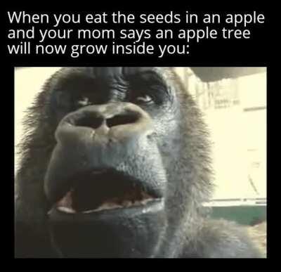 I think the tree will kill me