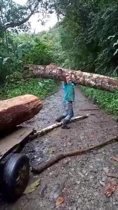 The strength to pick up something like this