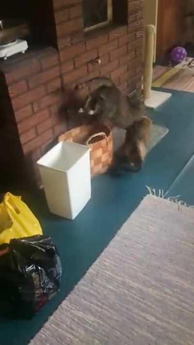 Freeedom!! Sorry for the laugh!