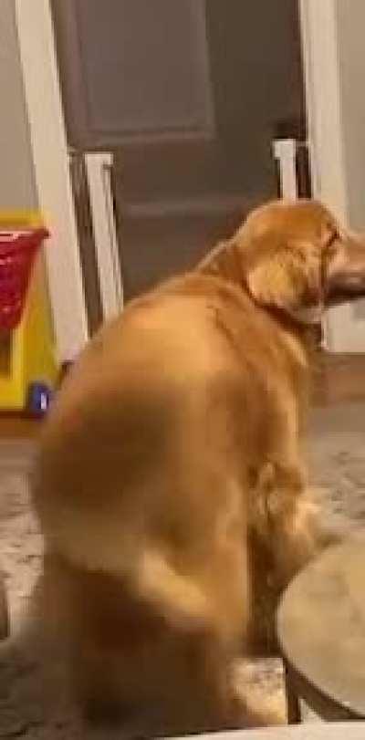 POV: You (an enchanter main) got your first ever solo kill top as Susan and your friends are hyping you up!