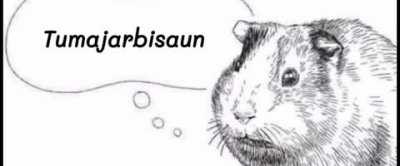 Un meme muy sanador y sin ofender a nadie