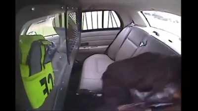 That's one way to escape