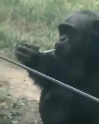 This is smoking time