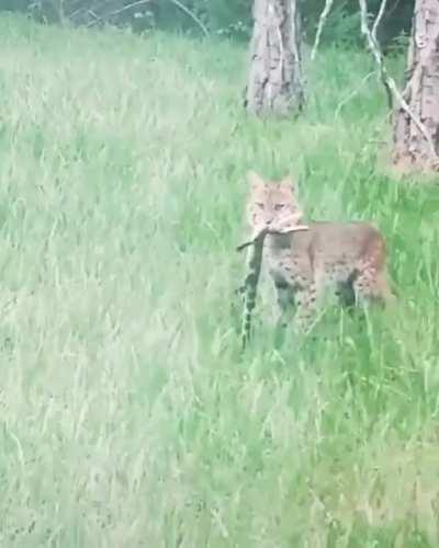 It's important to tap your dinner
