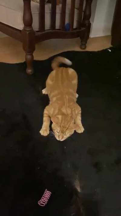 My boyfriend and I call this “scrungling”