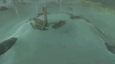 He a little confused, but he got the spirit