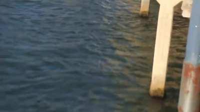 not using elastic rope