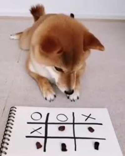 Definitely belongs here