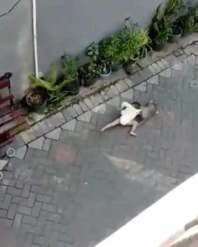 Monkey pulls up on motorcycle & tries to kidnap child