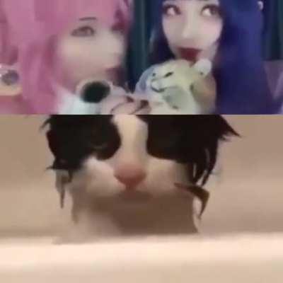 Feeling pain is universal....