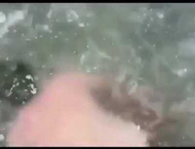 Dedicated camerawork