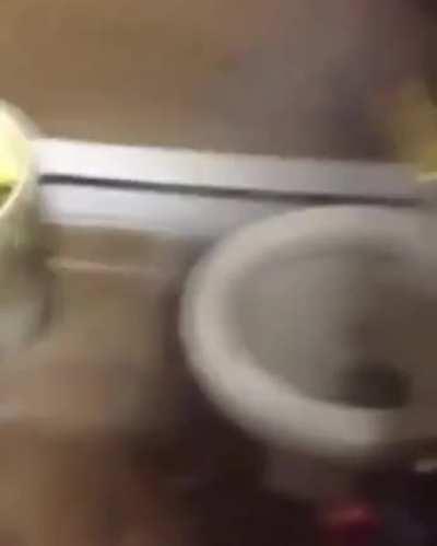 if you try to throw a bomb in the vas