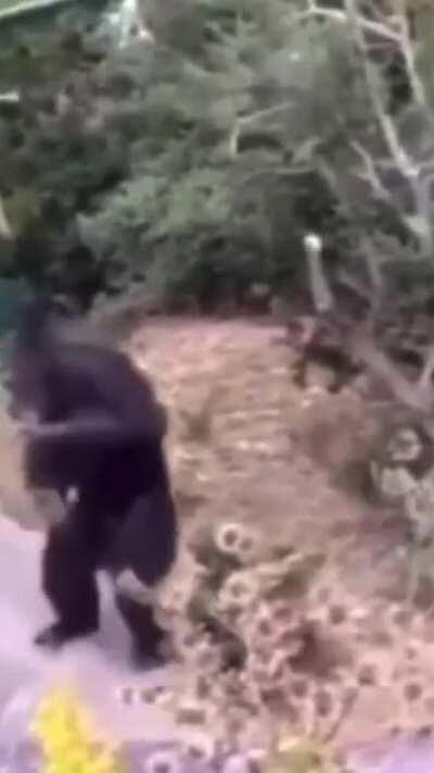 That new God’s Hate album has me going bananas.