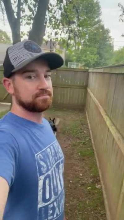 Собака разведчика