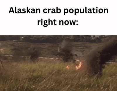 90% of the population disappeared