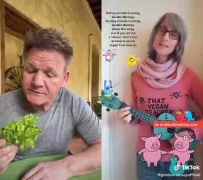 It has finally happened!!!! The animal abuse vegan has been wrecked by Gordon!!