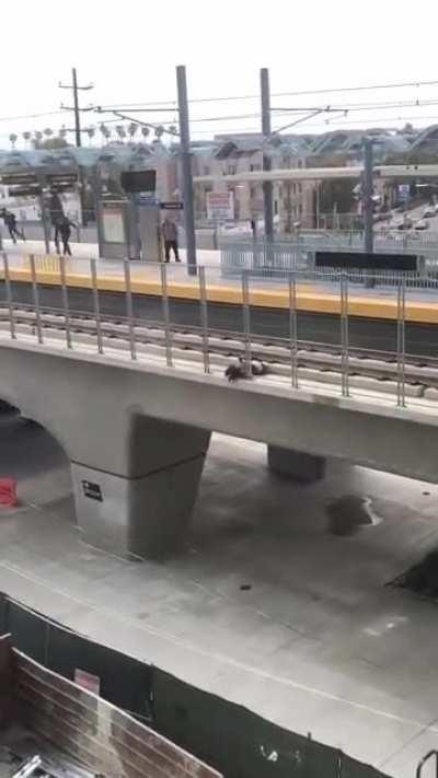 Man jumps from crane