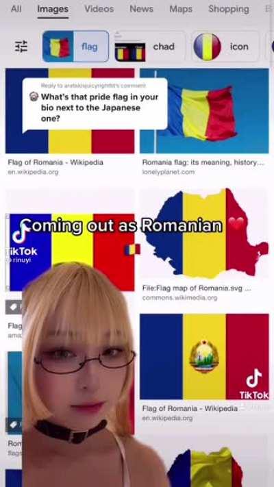 I can't decide which is worse. Being gay or being Romanian. Also which romanian thief stole Japanese girls hearth