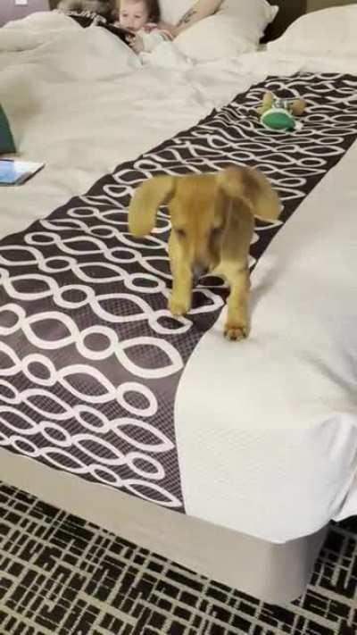 No jumping off beds ever, but REALLY no jumping off a hotel bed 19 times your height