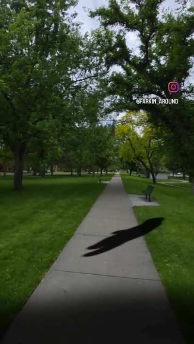 How many of yall watched thunderbolts