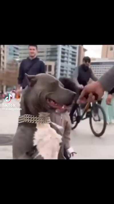 Se llama princesa y no muerde 🥺